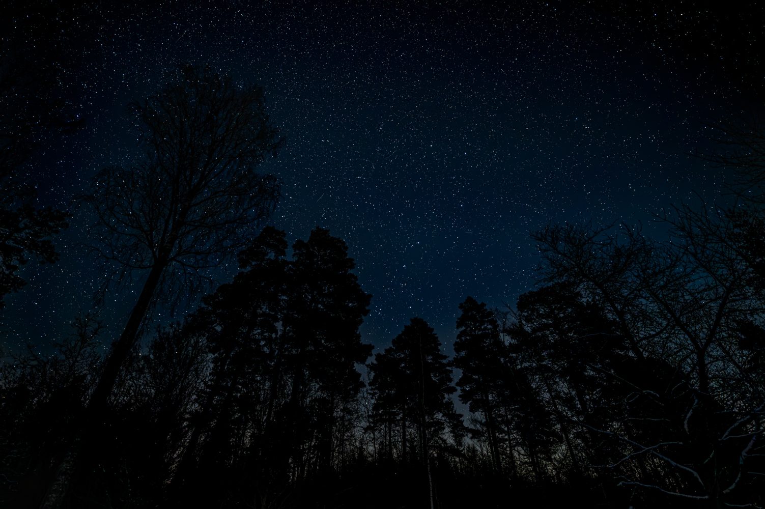 Fota stjärnor…